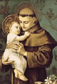 Picture of St. Anthony of Padua